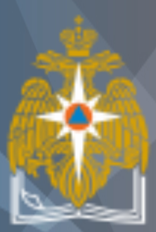 Академия гражданской защиты МЧС России.
